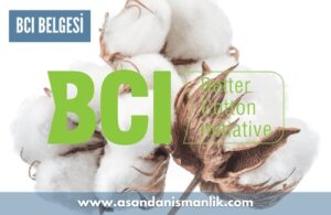 bci belgesi