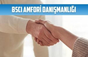 bsci amfori danismanligi