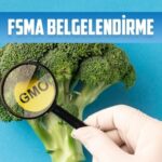 fsma belgelendirme