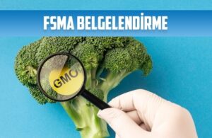 fsma belgelendirme