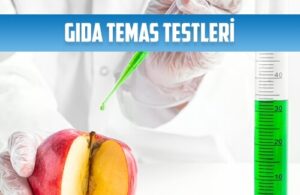 gida temas testleri