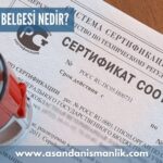 gost r belgesi nedir