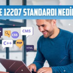 iee 12207 standardi nedir