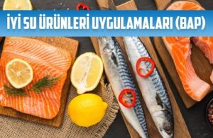 iyi su urunleri uygulamalari bap belgelendirme