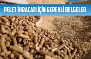 pelet ihracatinda ihtiyaciniz olan belgeler