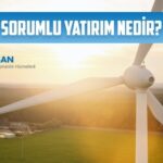 sorumlu yatirim nedir yatirimcilar acisindan surdurulebilirlik sistemleri