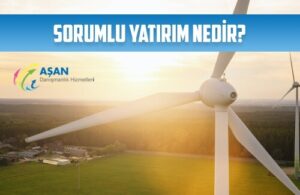 sorumlu yatirim nedir yatirimcilar acisindan surdurulebilirlik sistemleri
