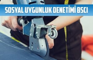sosyal uygunluk denetimi bsci