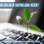 surdurulebilirlik raporlama nedir