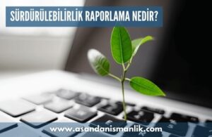 surdurulebilirlik raporlama nedir