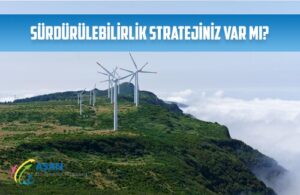 surdurulebilirlik stratejiniz var mi