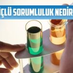 uclu sorumluluk nedir