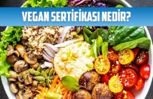 vegan sertifikasi nedir