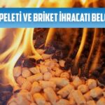 yakit peleti ve briket ihracati belgeleri
