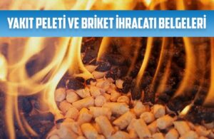 yakit peleti ve briket ihracati belgeleri